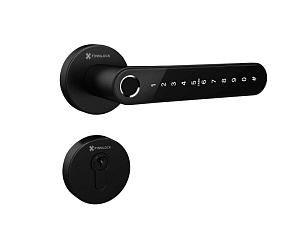 Умный замок-ручка Finnlock Smart FN3300B